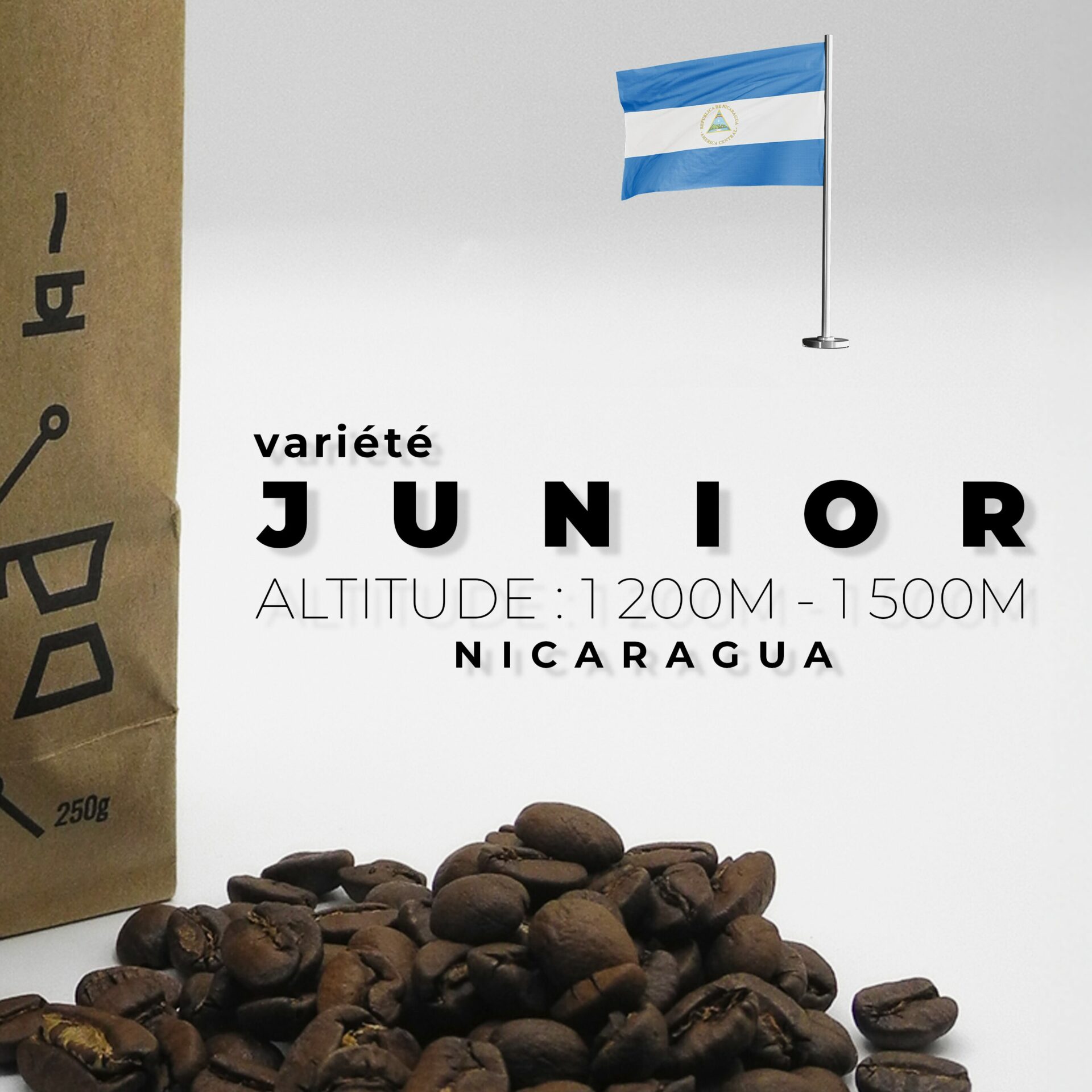 Café Nicaragua Maracaturra – Image 2